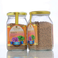 Vishwa Wellness - Shakti