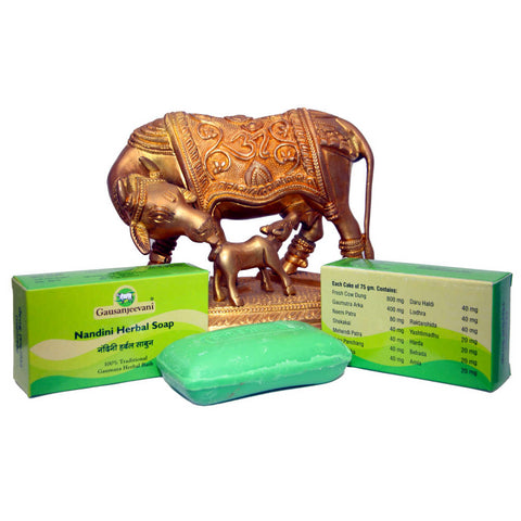 Gau Sanjeevani - Nandini Herbal Soap