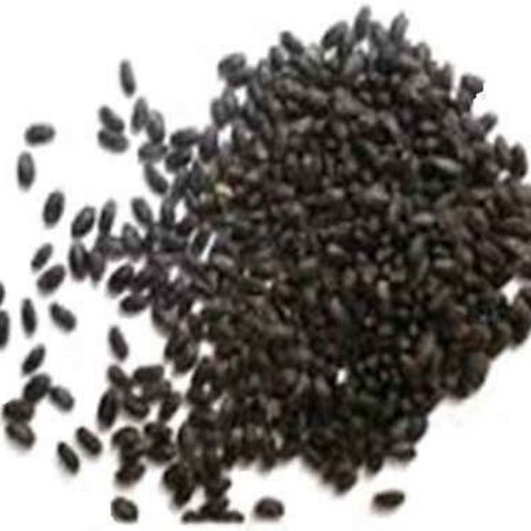 Tulsi basil Seed