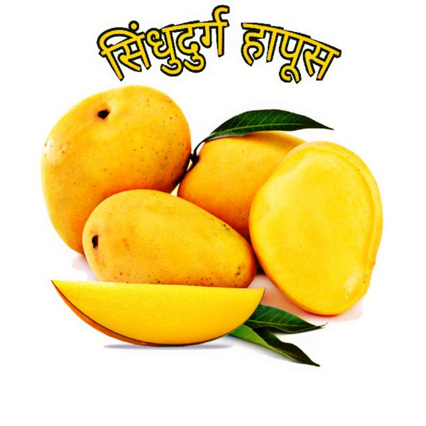 Carbide free Devgad alphonso mangoes online