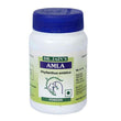 Dr Jains - Amla Powder