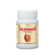 Dhootapapeshwar - Shilapravang Special