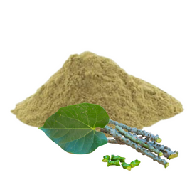 Generic Ayurveda - Gulvel (Giloy) Powder