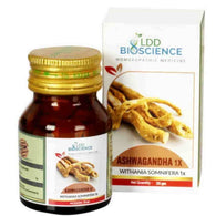 LDD - Ashwagandha 1X