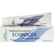LDD - Echinacea