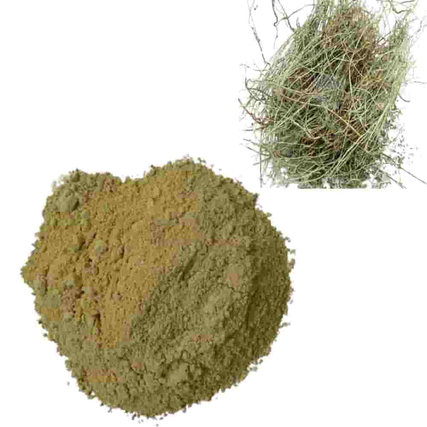 Generic Ayurveda - Bhumi Amla Powder